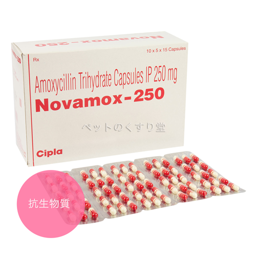 【お届けまで4-5週間】ノバモックスアモキシシリン(Amoxicillin)250mg 90カプセル