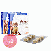 【2箱】ストロングハートプラス小型犬用(11kg未満)12チュアブル