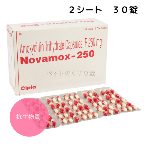 【お届けまで4-5週間】ノバモックスアモキシシリン(Amoxicillin)250mg 30カプセル