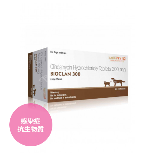 バイオクランチュアブル犬猫用300mg60錠